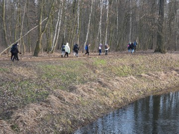 Spacer po Sieradzu w ramach Zimowego Ptakoliczenia 2025, 